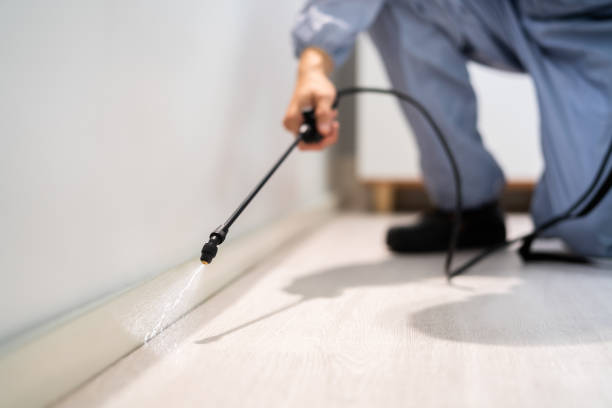 Licensed Pest Control service in Biscoe, NC - Show Me Pest Control