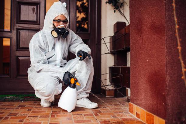 Attic and Crawl Space Rodent Treatment in Biscoe