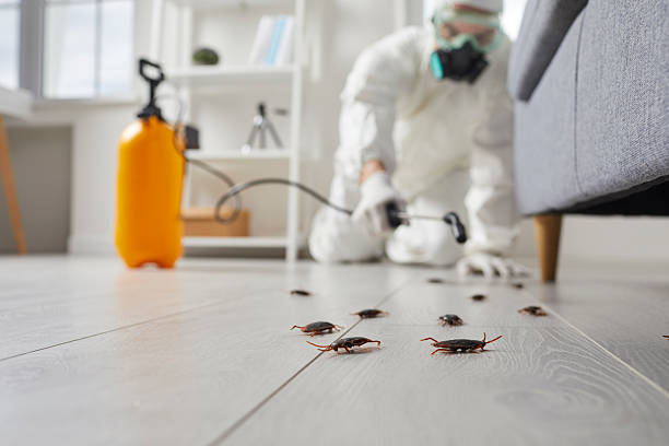 Commercial Rodent Management in Biscoe